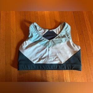 Champion Blue Color-Blocked Geometric Sports Bra, Unsized (2X)